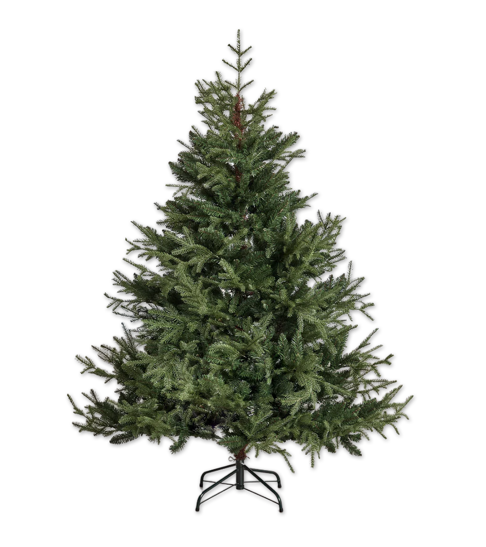 SAPIN DE NOËL